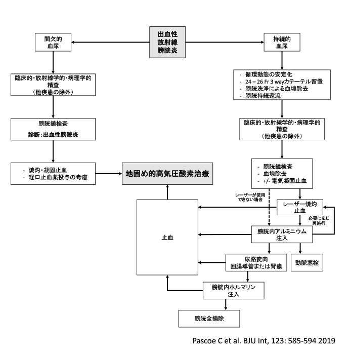 膀胱がんに対する5-アミノレブリン酸による蛍光膀胱鏡を用いた光線力学診断